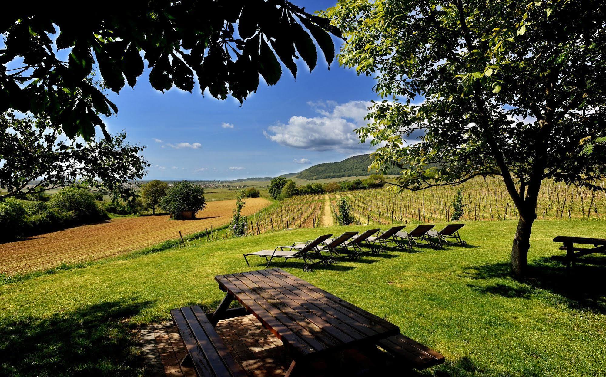 Hôtel du Bollenberg Cit'Hotel - Restaurant Côté Plaine - Spa de la Colline Westhalten Esterno foto
