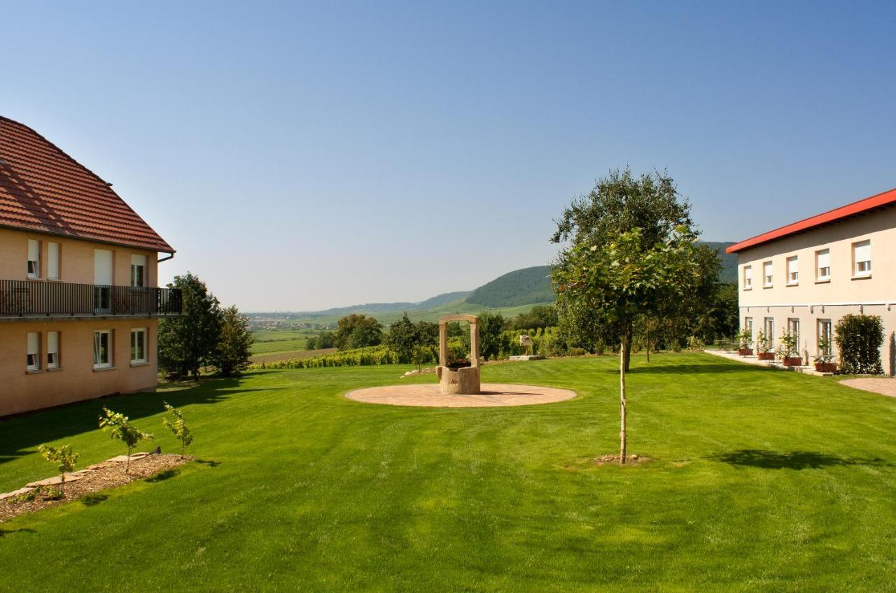 Hôtel du Bollenberg Cit'Hotel - Restaurant Côté Plaine - Spa de la Colline Westhalten Esterno foto